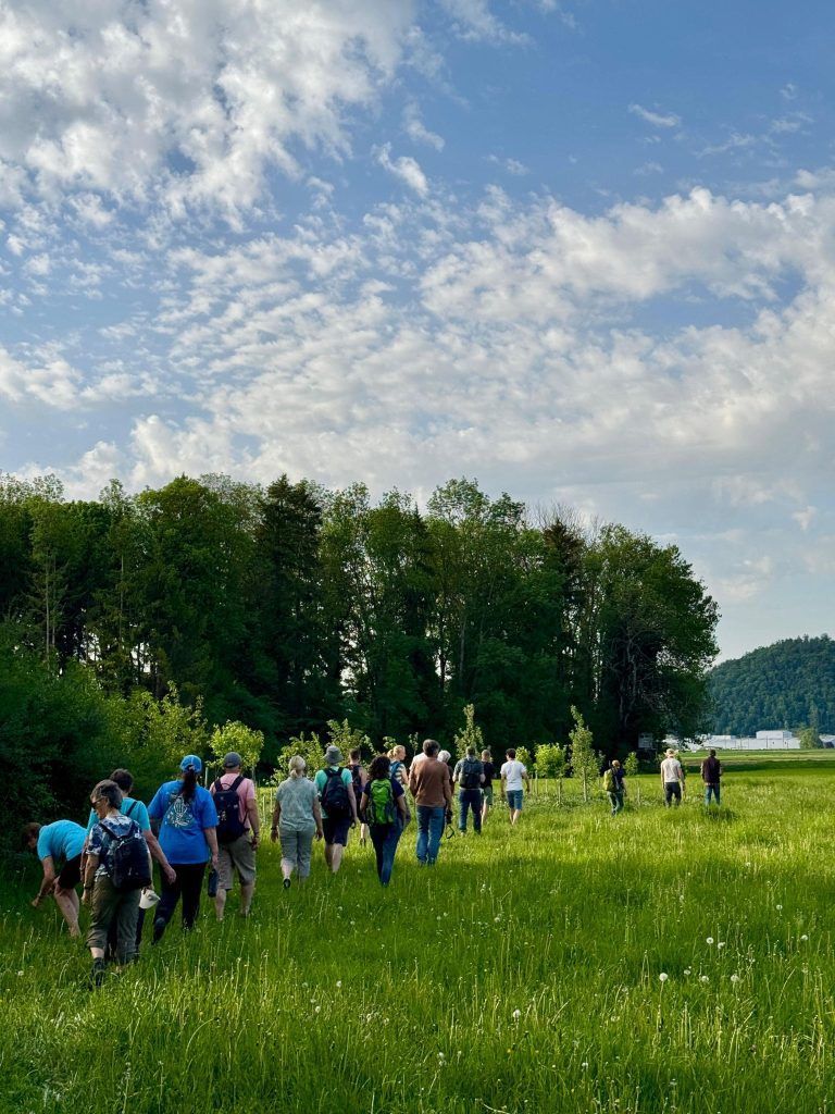 Natur entdecken im Sulner Auwald