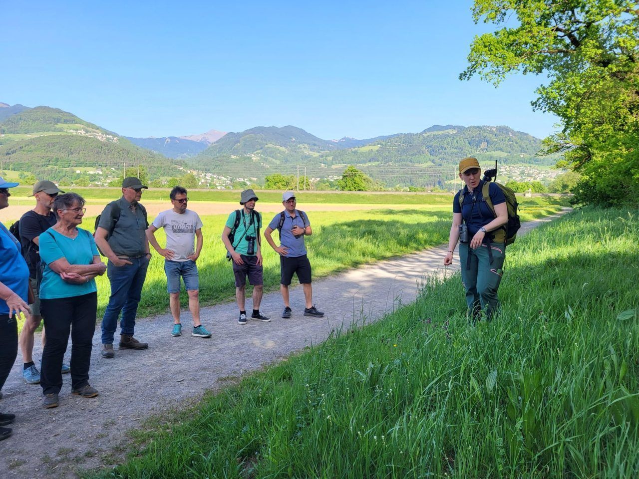 Natur entdecken im Sulner Auwald