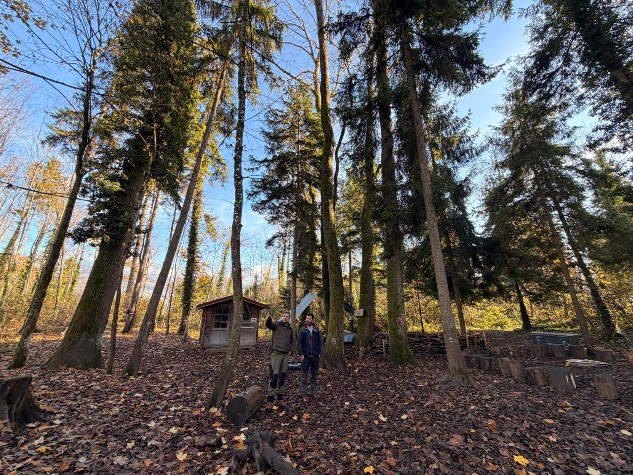 Neue Bäume für den Auwald