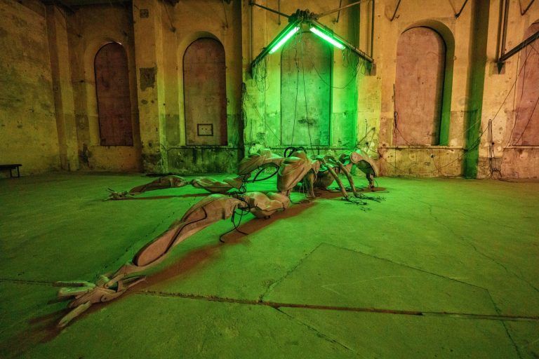 Das Portal ins Unbestimmte