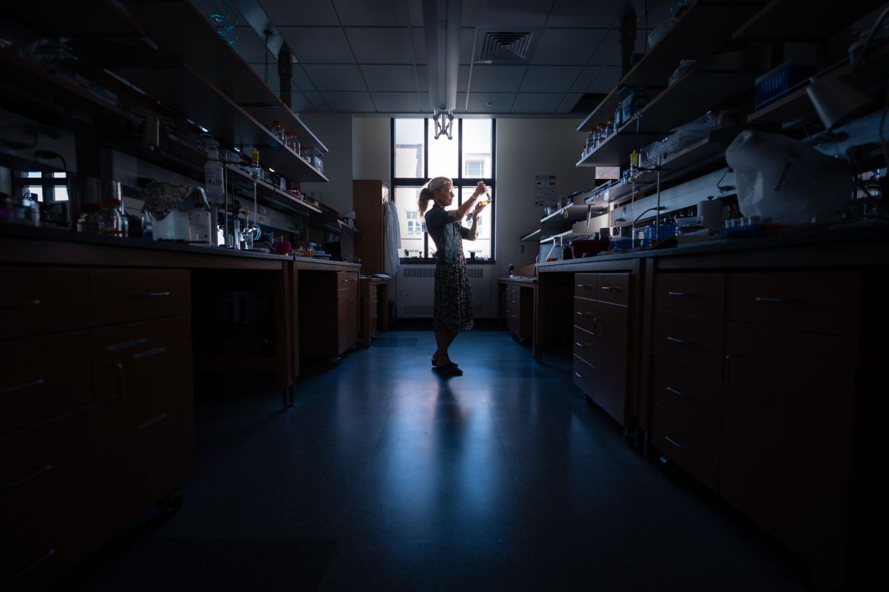 Vom Ländle an die Weltspitze der Forschung