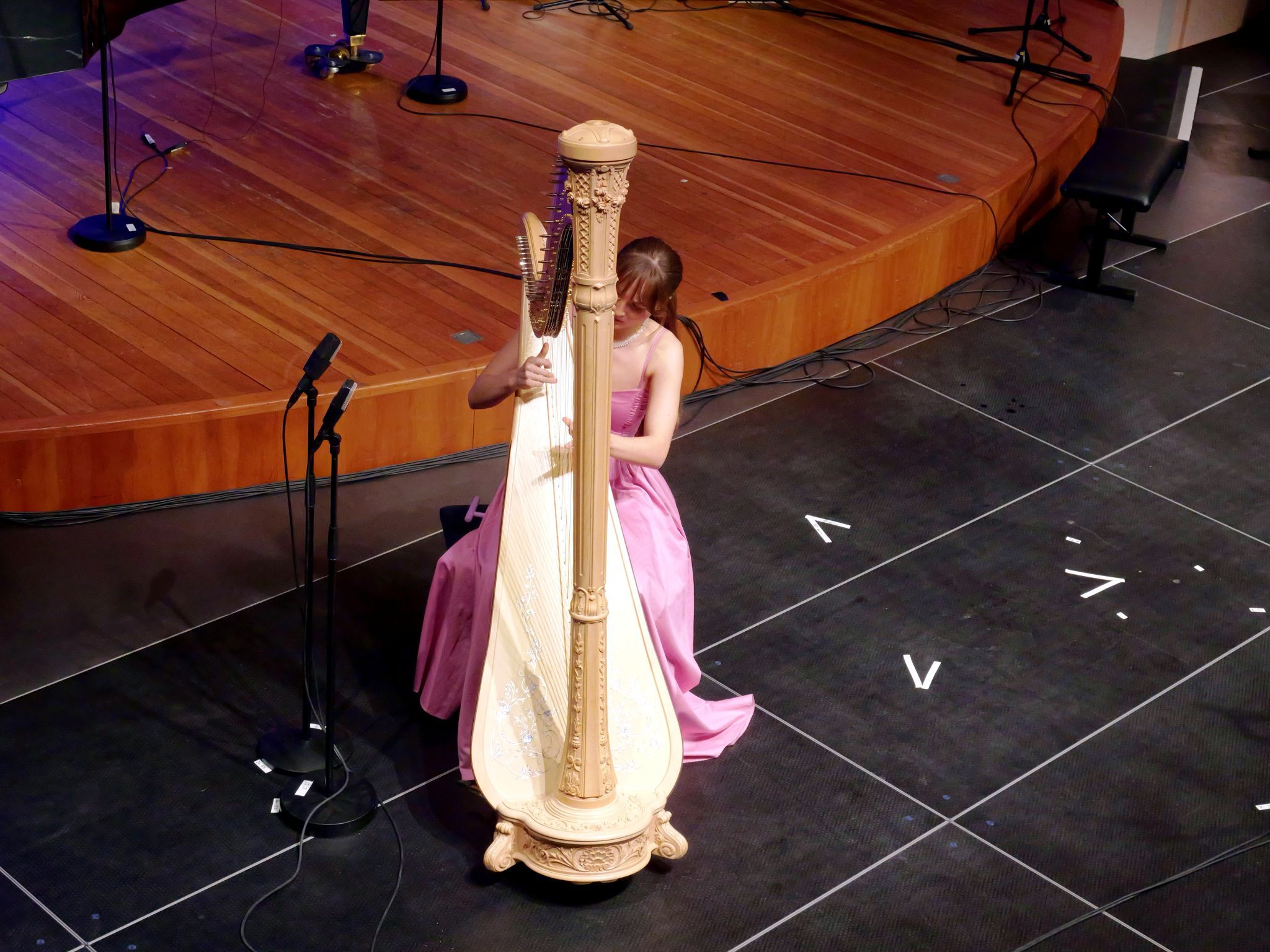 Harfenistin Julia Dietrich interpretierte Werke von Ludwig van Beethoven.