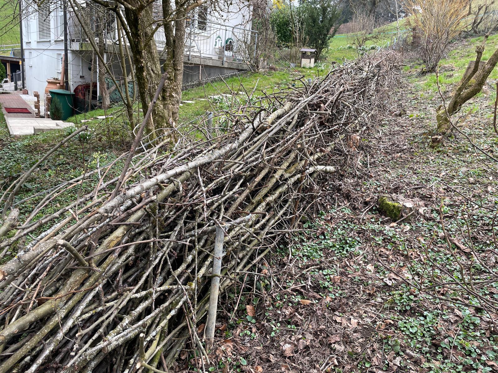 Thema Totholz wird in Theorie und Praxis den Besuchern erklärt.