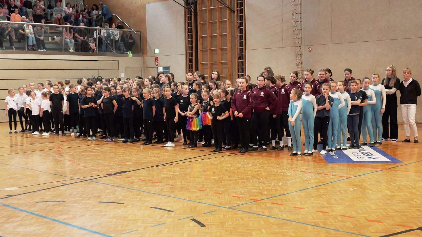 Rund 115 Kinder und Jugendliche präsentierten ihre Voltigierkenntnisse und begeisterten das Publikum.  (Foto: Niko Mylonas)