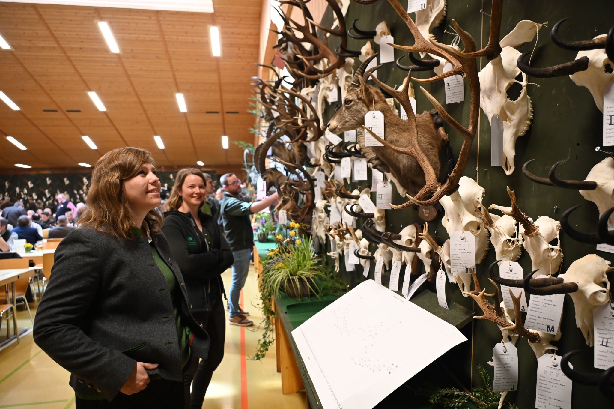 Die Trophäen wurden in der Walserhalle präsentiert.