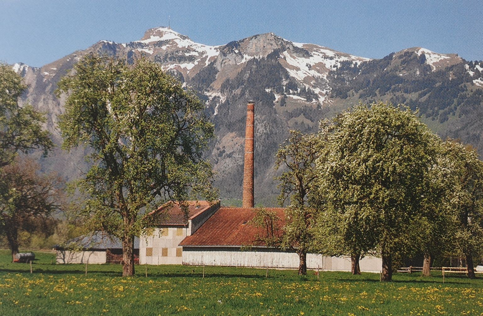 Die Leim- und Kunstdüngerfabrik Schatzmann von Osten 2013. Foto: Jasmine Schatzmann-Sturn