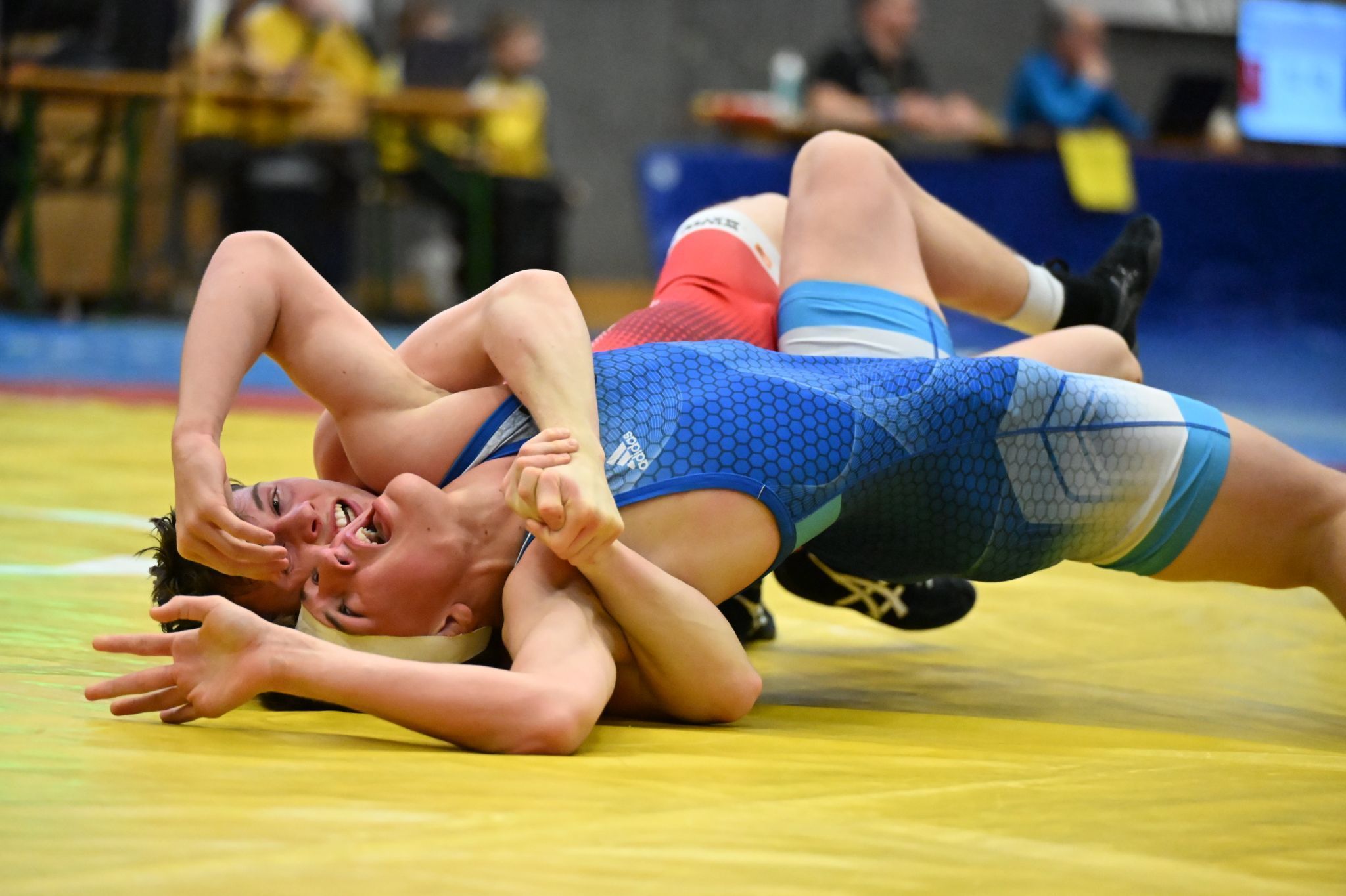 Klauser Nachwuchs holt acht Goldene.