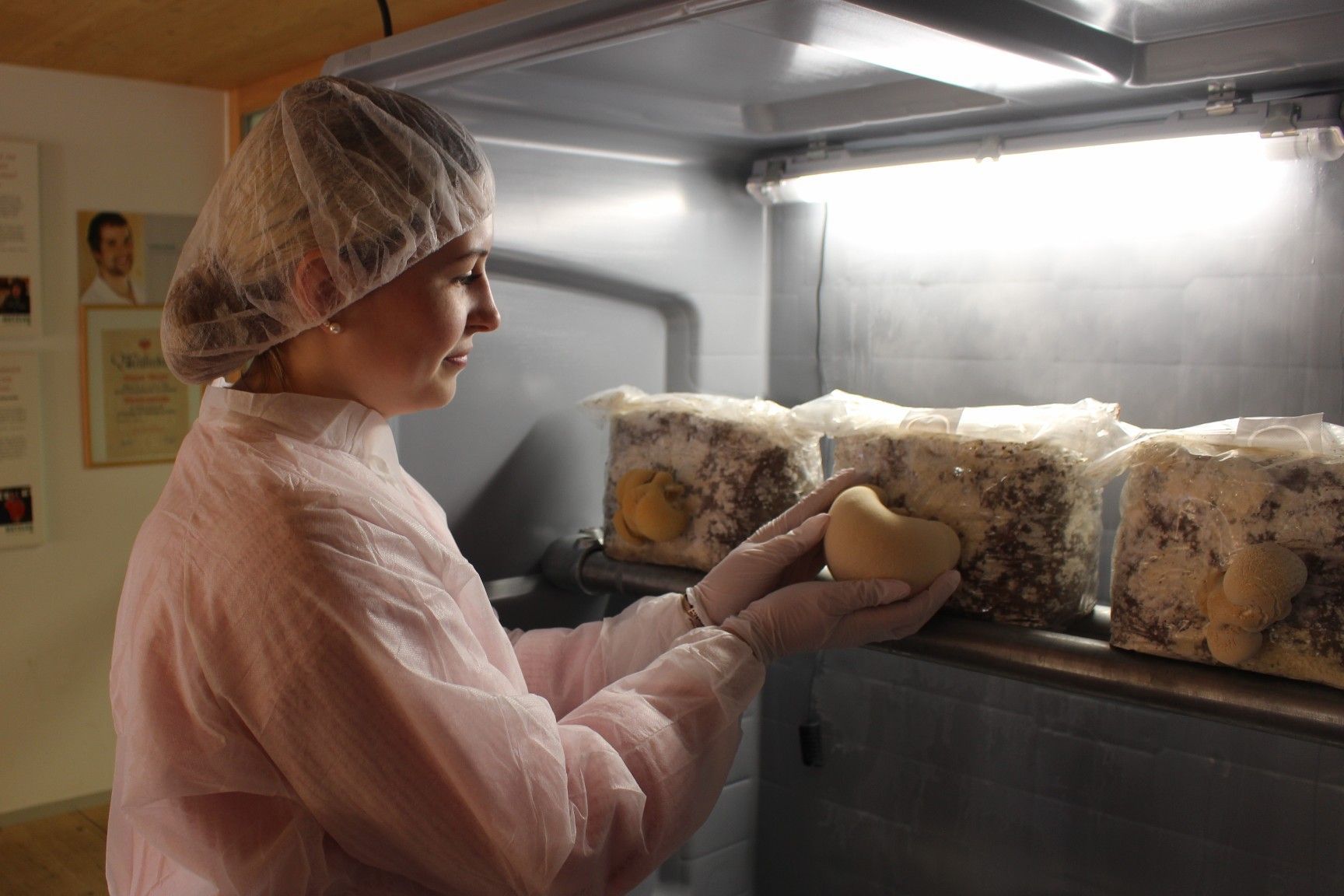 Die bei Metzler gezüchteten Pilze werden gefriergetrocknet und gemahlen, die Wirkstoffe mit einer speziellen Ultraschalltechnik herausgeholt und dies ist dann die Basis für die Herstellung kosmetischer Produkte, aber auch von Nahrungsergänzungsmittel.