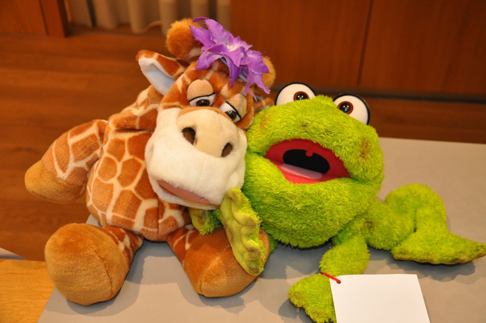 Die Bibliotheksmaskottchen Lili und Paul waren natürlich auch dabei.