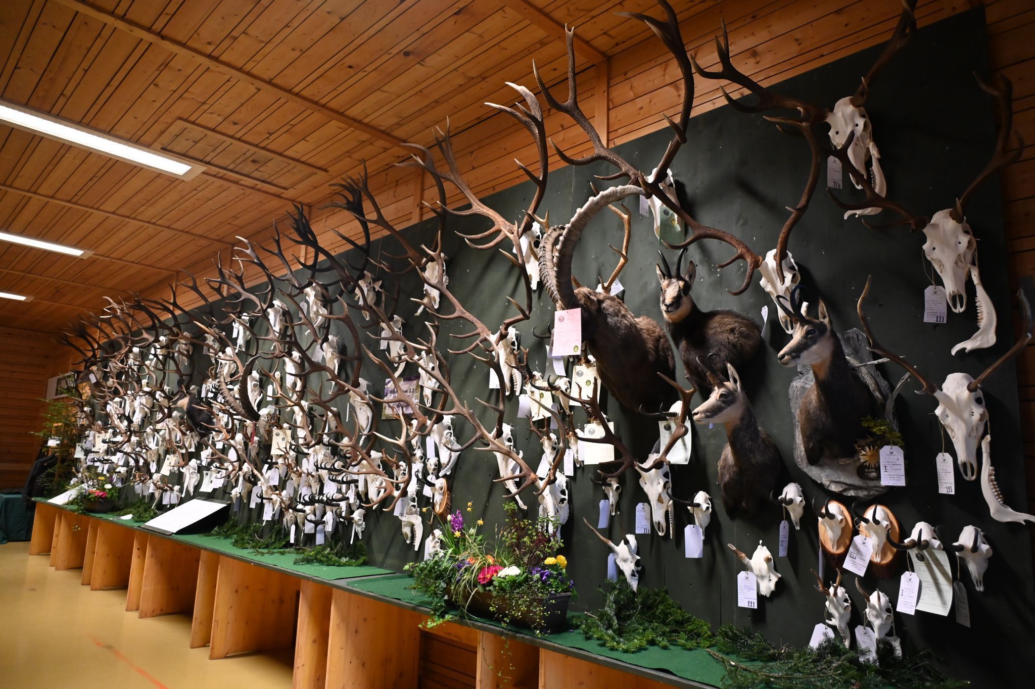 Oberländer Jägertage 2026 (Bildergalerie)