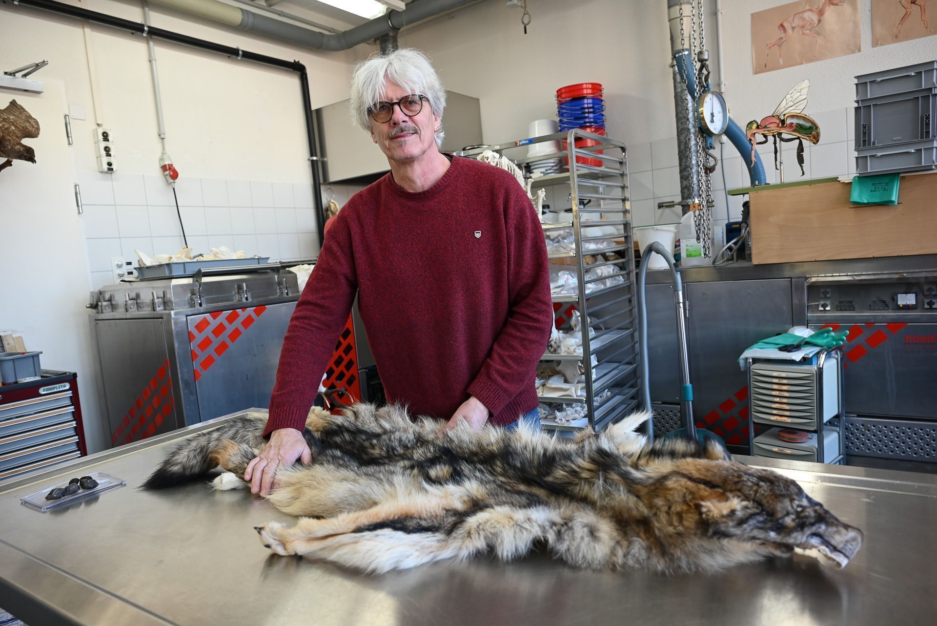 Peter Niederklopfer ist Naturwissenschaftlicher Präparator und leitet die naturkundliche Sammlung im Fürstentum Liechtenstein.