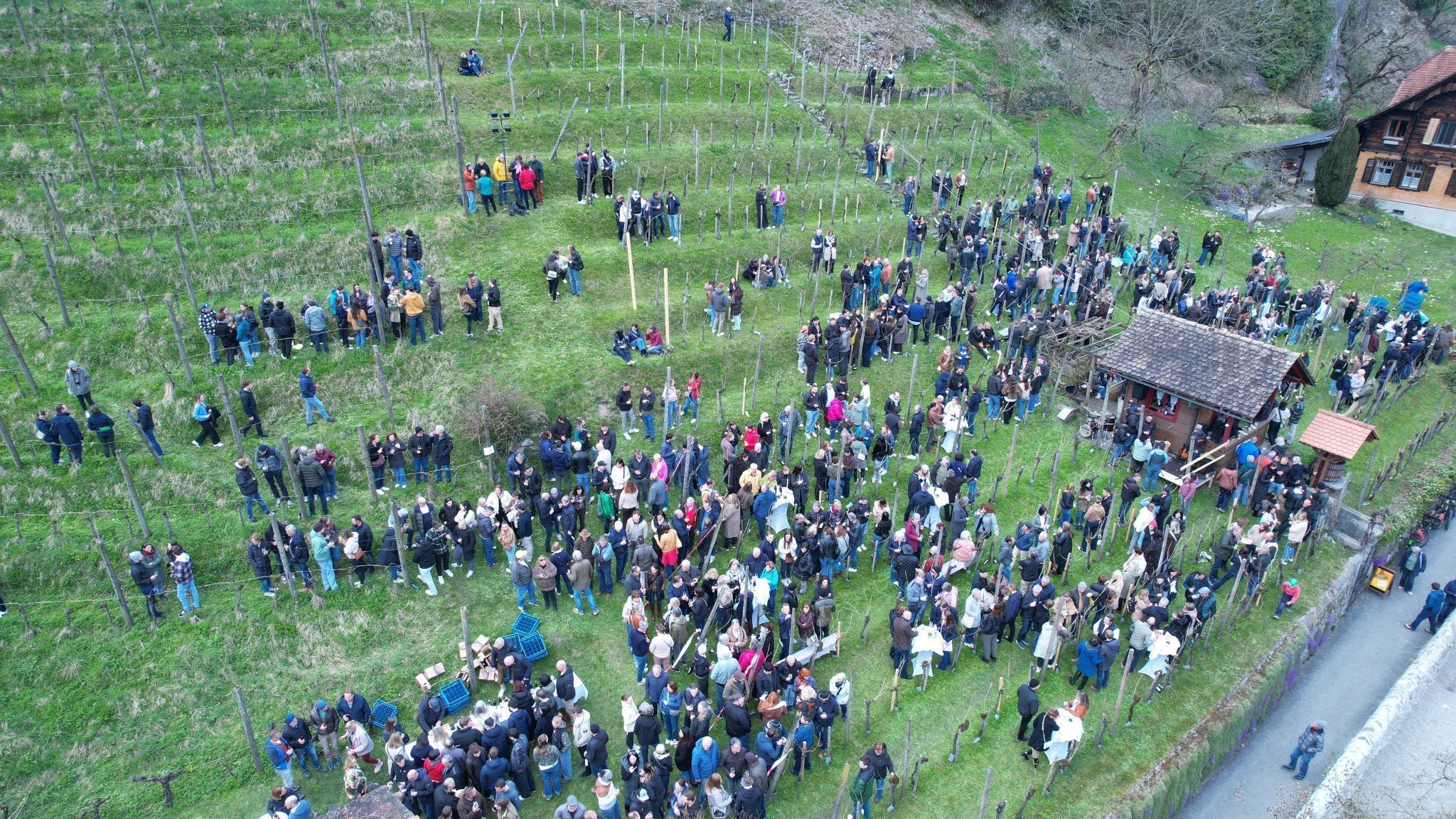 Rebensäfte und steirische Brettljause erwarteten die Gäste im Weingarten.