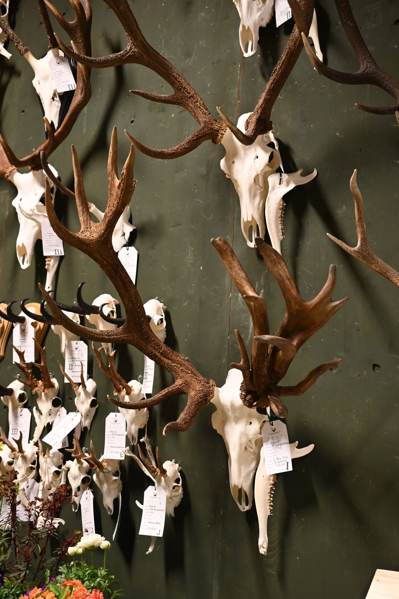 Oberländer Jägertage 2026 (Bildergalerie)