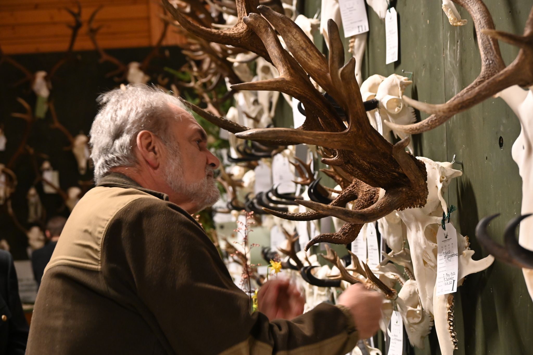 Genaue Begutachtung durch Jäger und Interessierte.