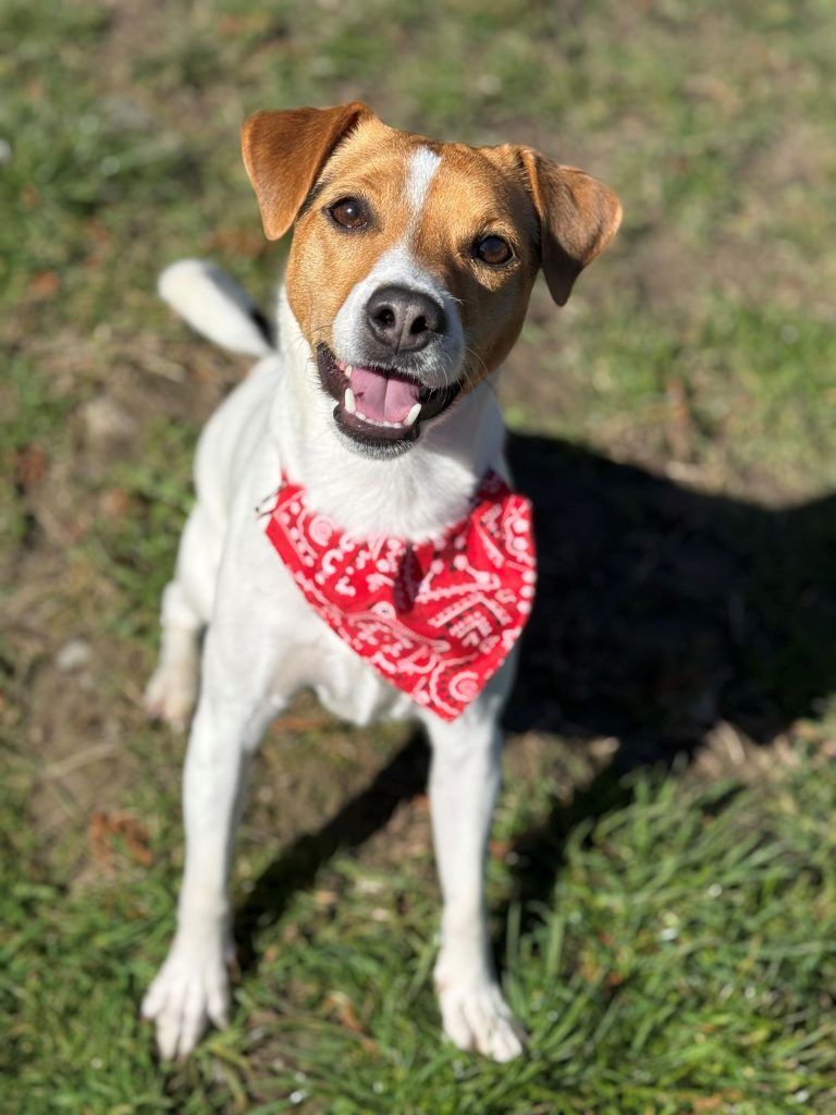 Wer will mich? Krümel sucht einen Herzensmenschen
