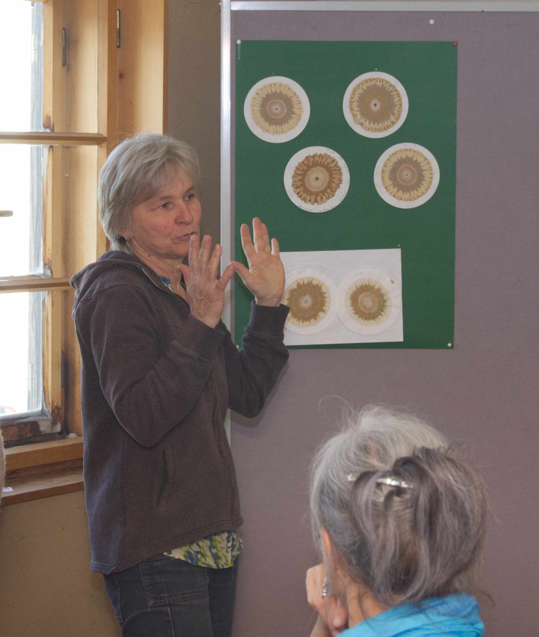 Theresia erklärt die Chromatographie an Hand von Beispielen
