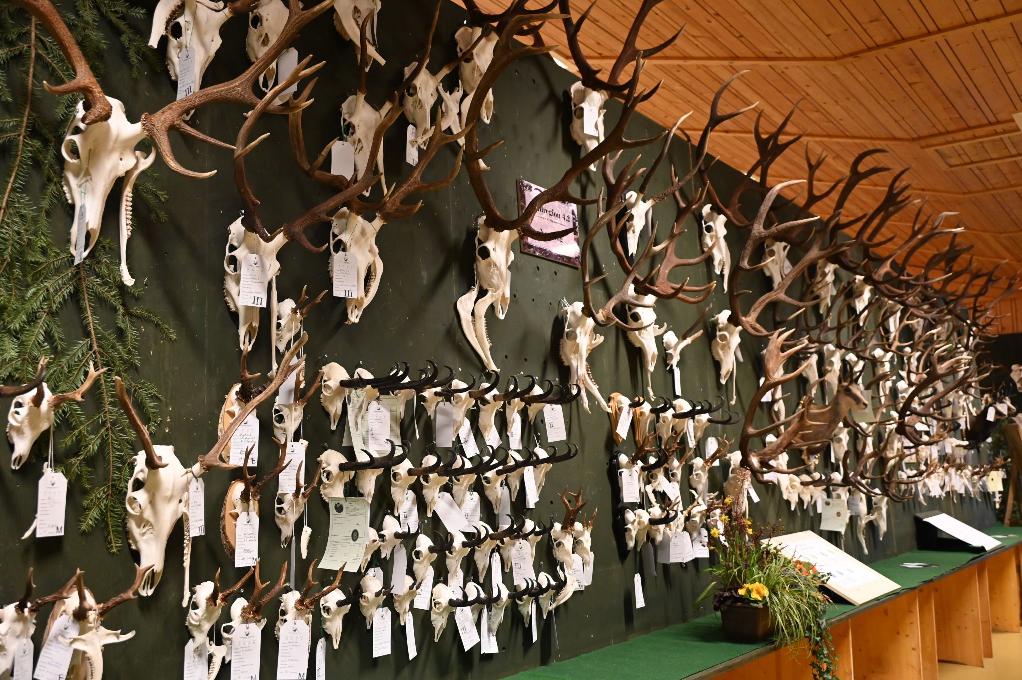 Oberländer Jägertage 2026 (Bildergalerie)