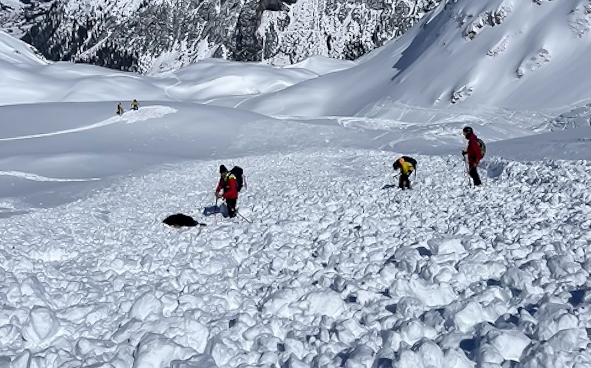 Sucheinsatz am Lawinenkegel ist körperliche Schwerstarbeit unter extremen Zeitdruck.