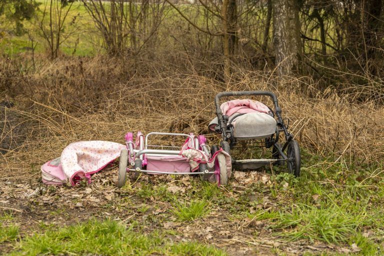 Warum dem Biber im Schweizer Ried bald Schlimmes droht