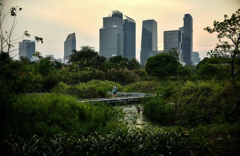 THAILAND-LIFESTYLE-ENVIRONMENT