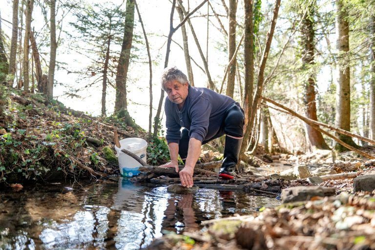 Alarm im Bachbett: Fischer Walter Leitner hat einen gefährlichen Einwanderer im Visier