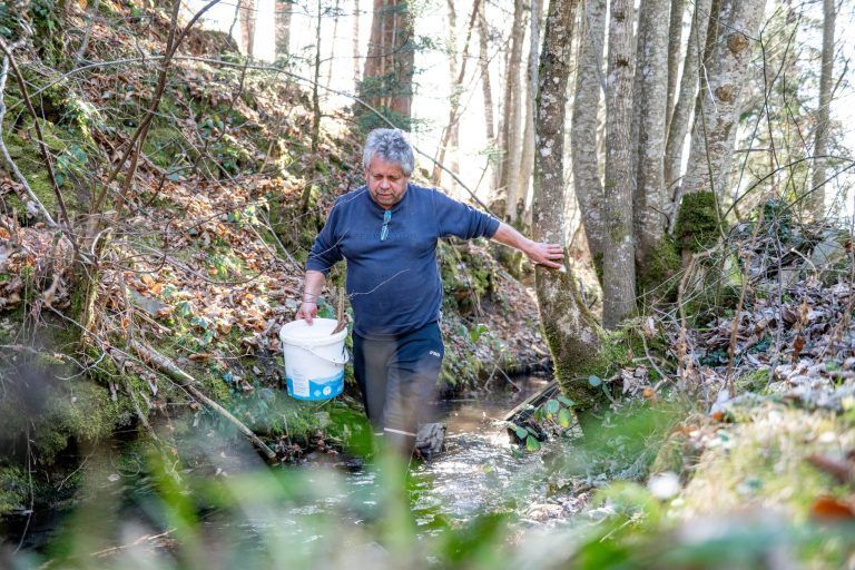 Alarm im Bachbett: Fischer Walter Leitner hat einen gefährlichen Einwanderer im Visier