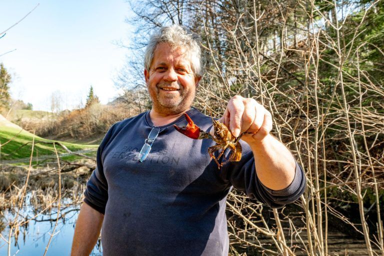 Alarm im Bachbett: Fischer Walter Leitner hat einen gefährlichen Einwanderer im Visier