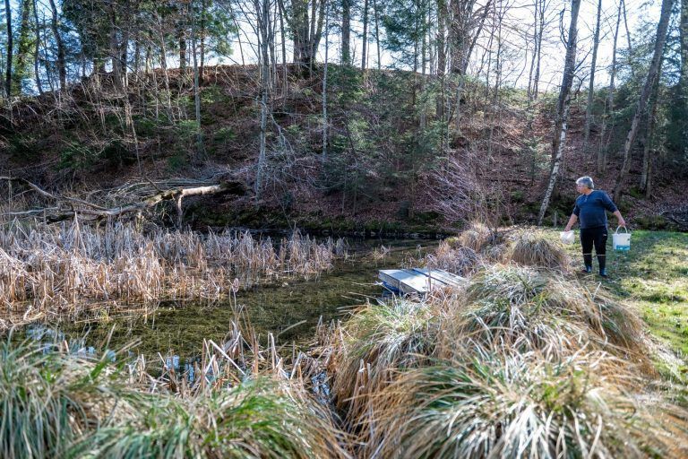 Alarm im Bachbett: Fischer Walter Leitner hat einen gefährlichen Einwanderer im Visier