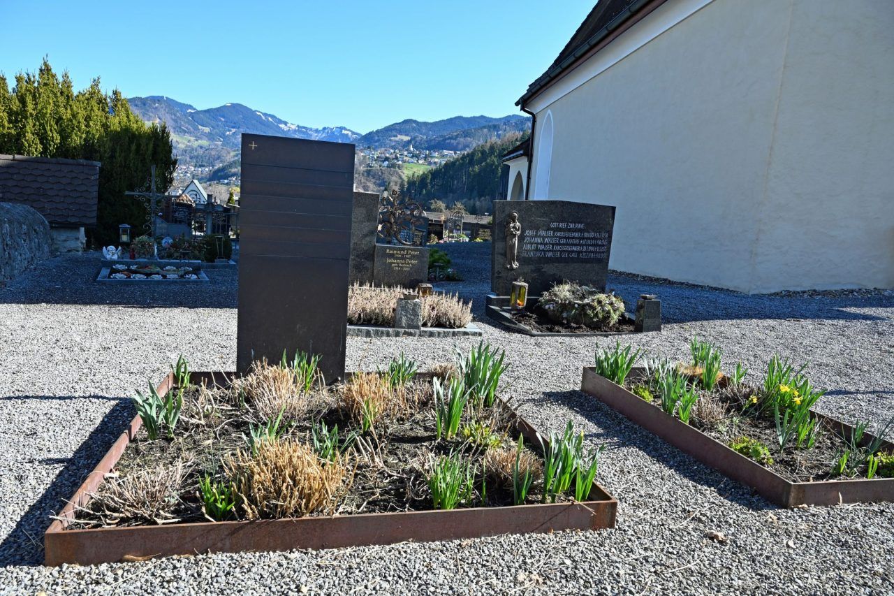 Wo Erinnerung aufblüht