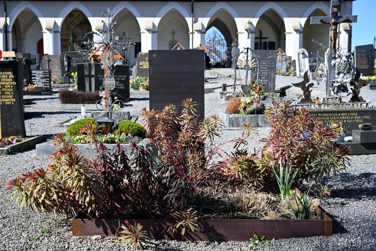 Wo Erinnerung aufblüht