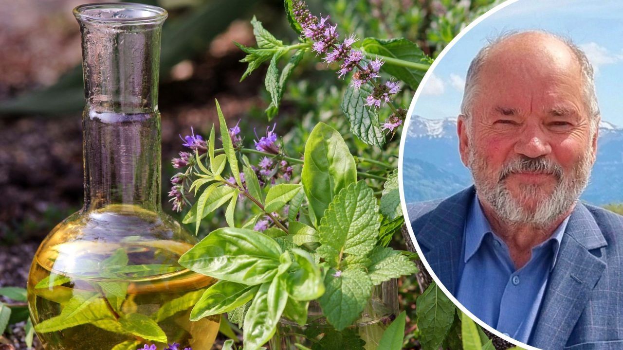 Von Wildkräutern bis Irisdiagnostik