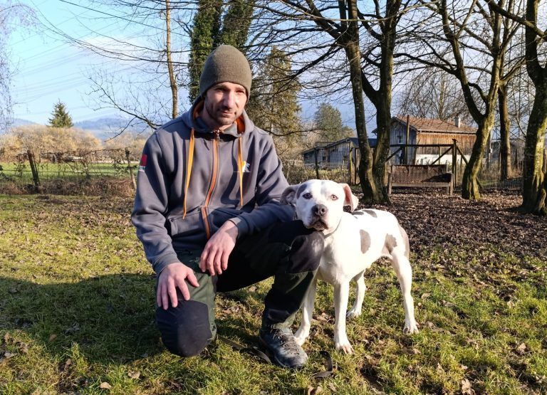 Der freundliche Dusty sehnt sich nach Liebe