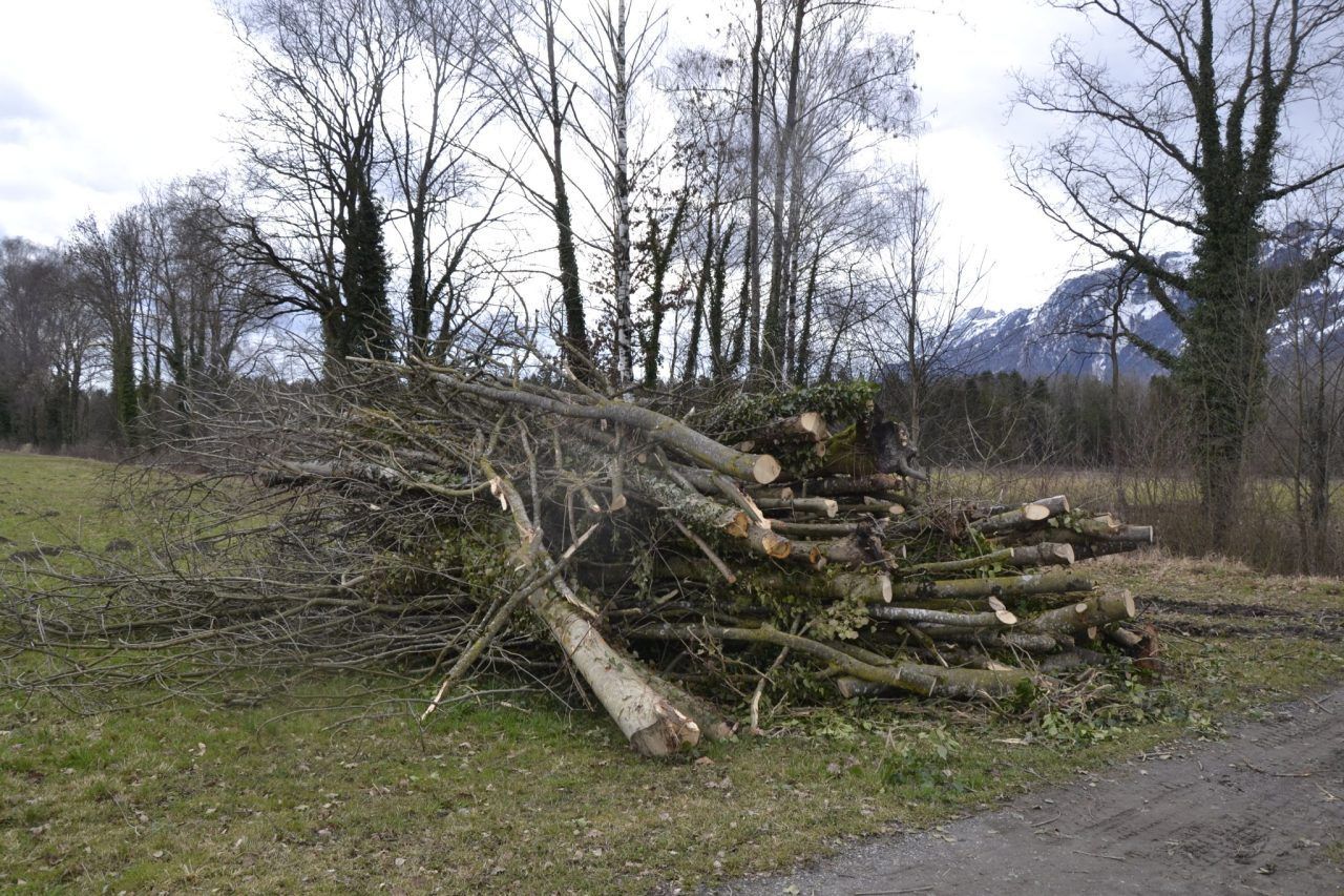 Frühjahrsputz für Meiningens Bäche