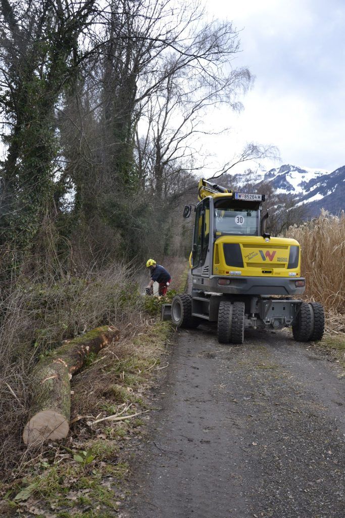 Frühjahrsputz für Meiningens Bäche