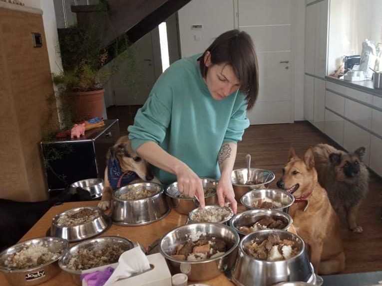 Maryna Liapina floh mit 44 Tieren von der Ukraine nach Österreich