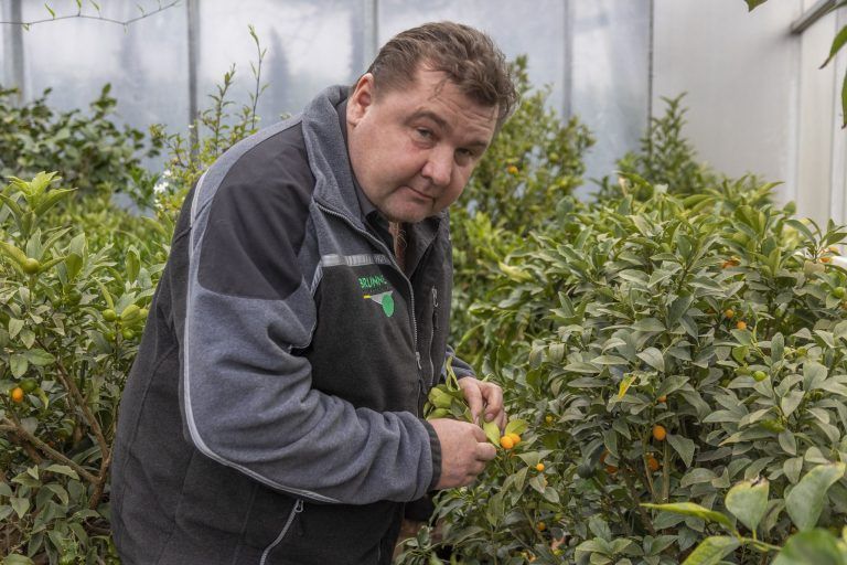 Warum der Wintereinbruch für die Vegetation eher gut ist