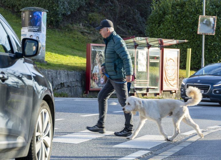 „Man fühlt sich bedroht“: Wenn der Spaziergang zum riskanten Unterfangen wird