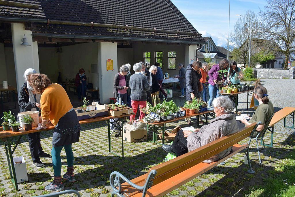 Grüne Ideen für Haus und Garten