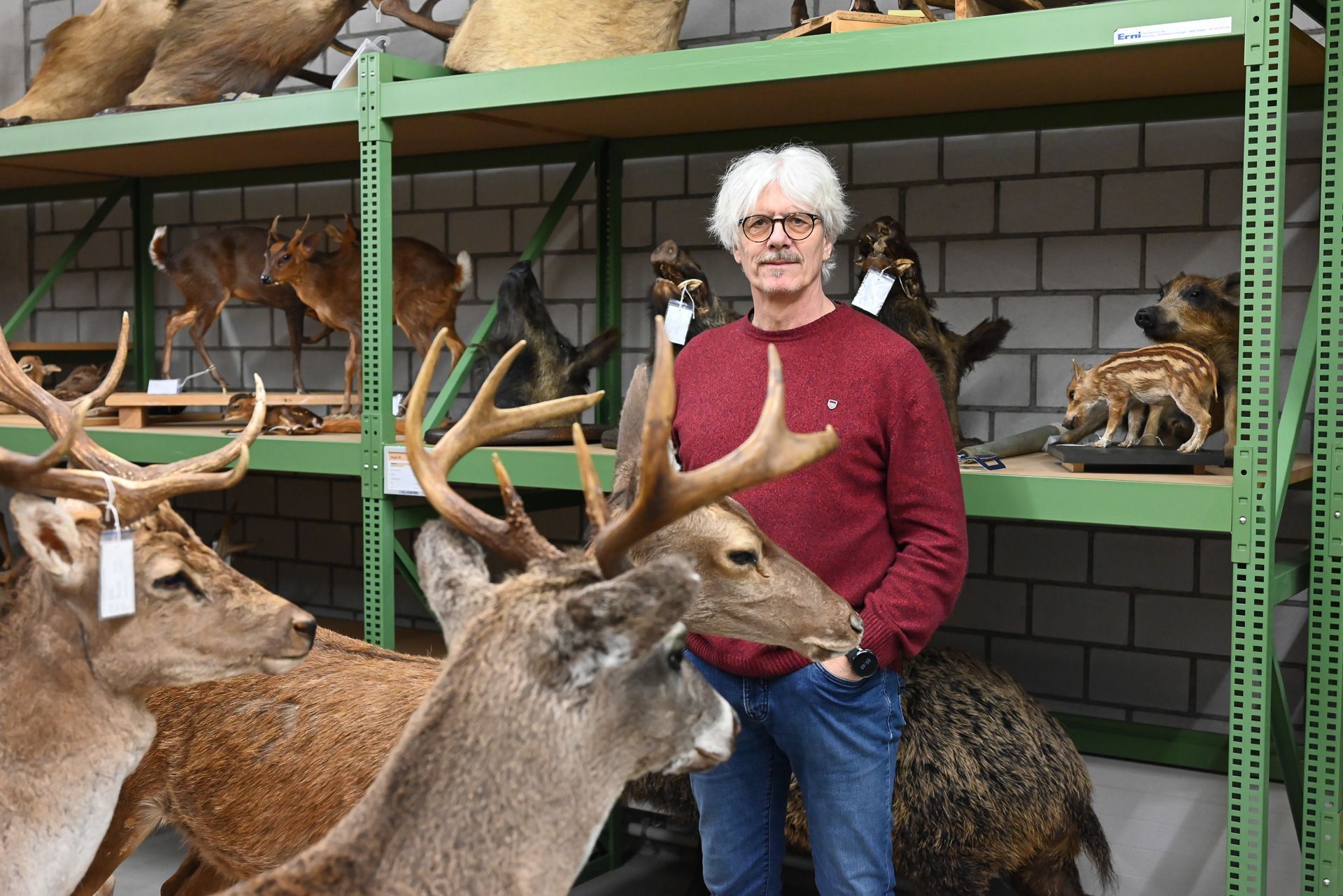 Peter Niederklopfer kennt die heimische Tierwelt wie kaum ein anderer. Er hat bereits viele Tiere für die Nachwelt präpariert.