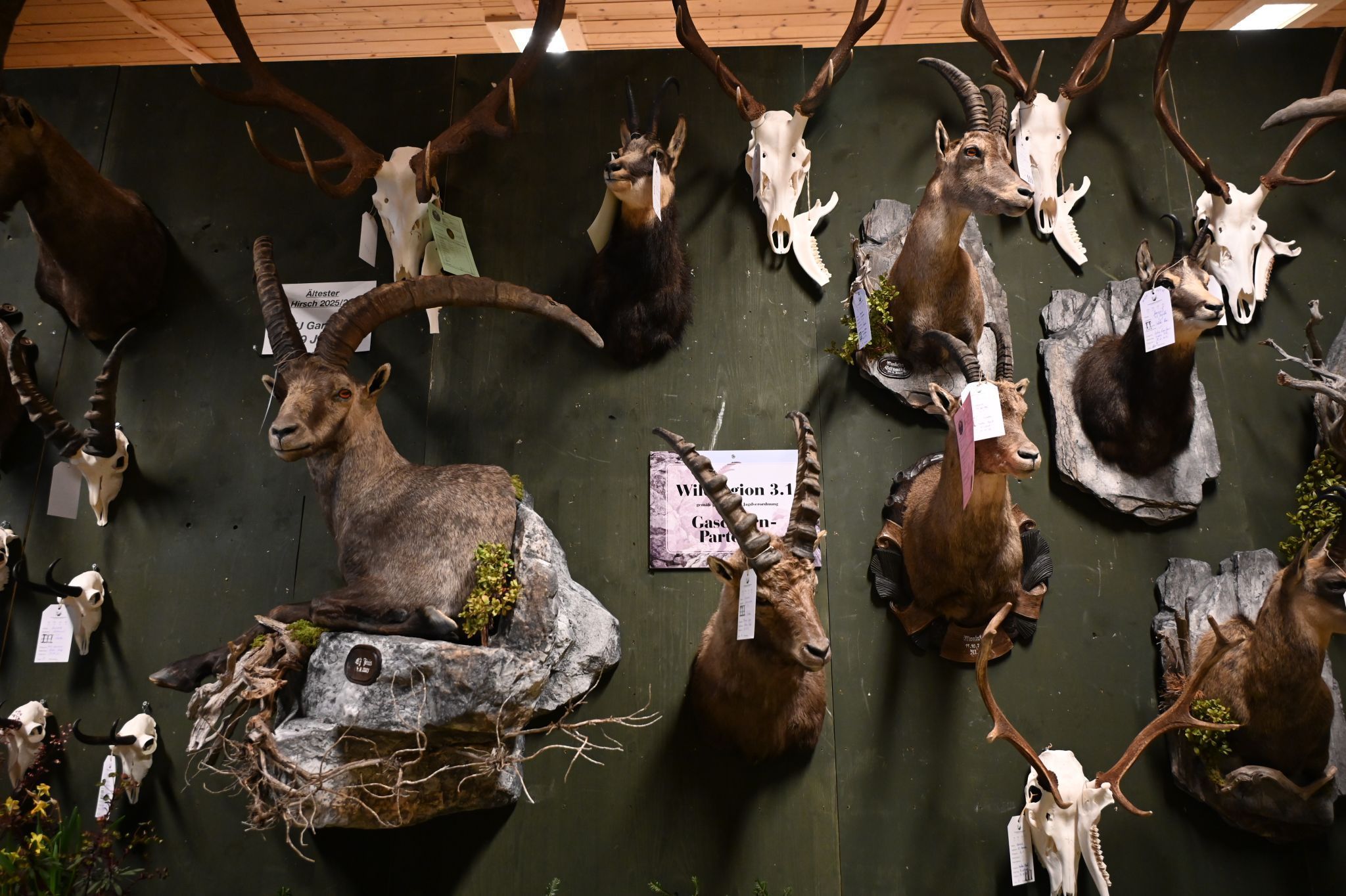 Oberländer Jägertage 2026 (Bildergalerie)