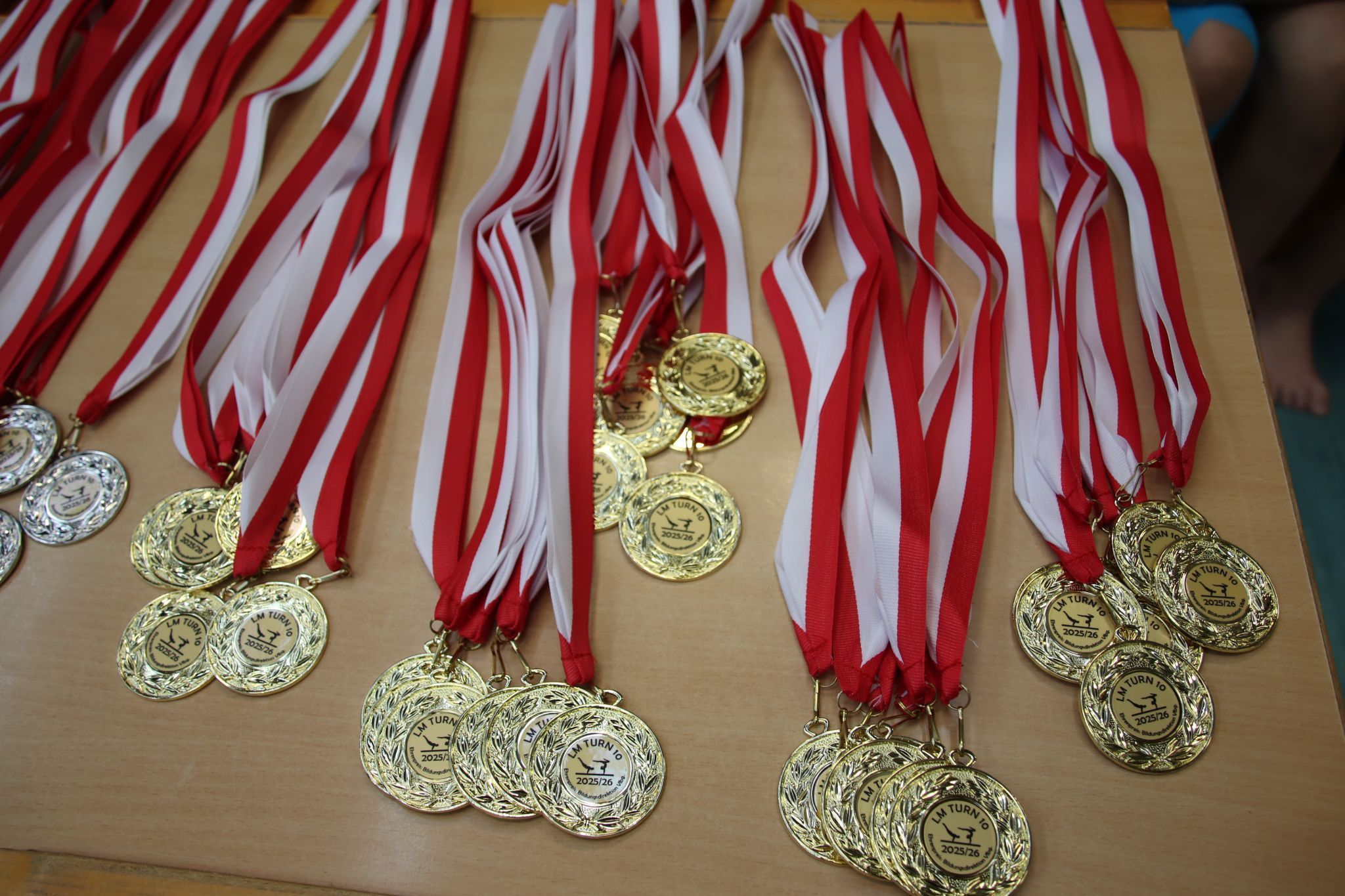 Turn 10 Landesmeisterschaft der Schulen ohne sportlichen Schwerpunkt in Wolfurt. (Bildergalerie)