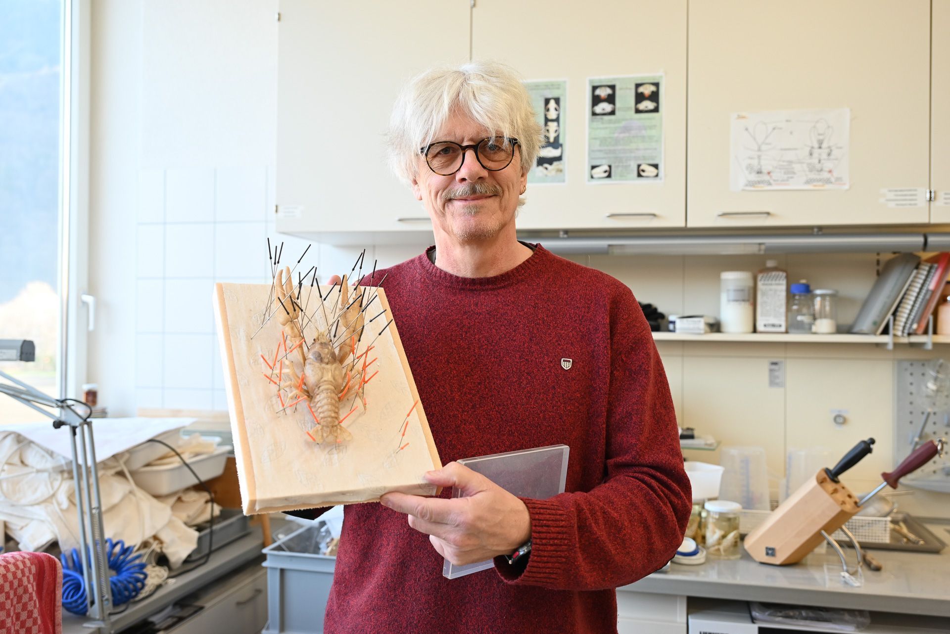 Niederklopfer zeigt, wie er Krebse im präparierten Zustand fixiert.
