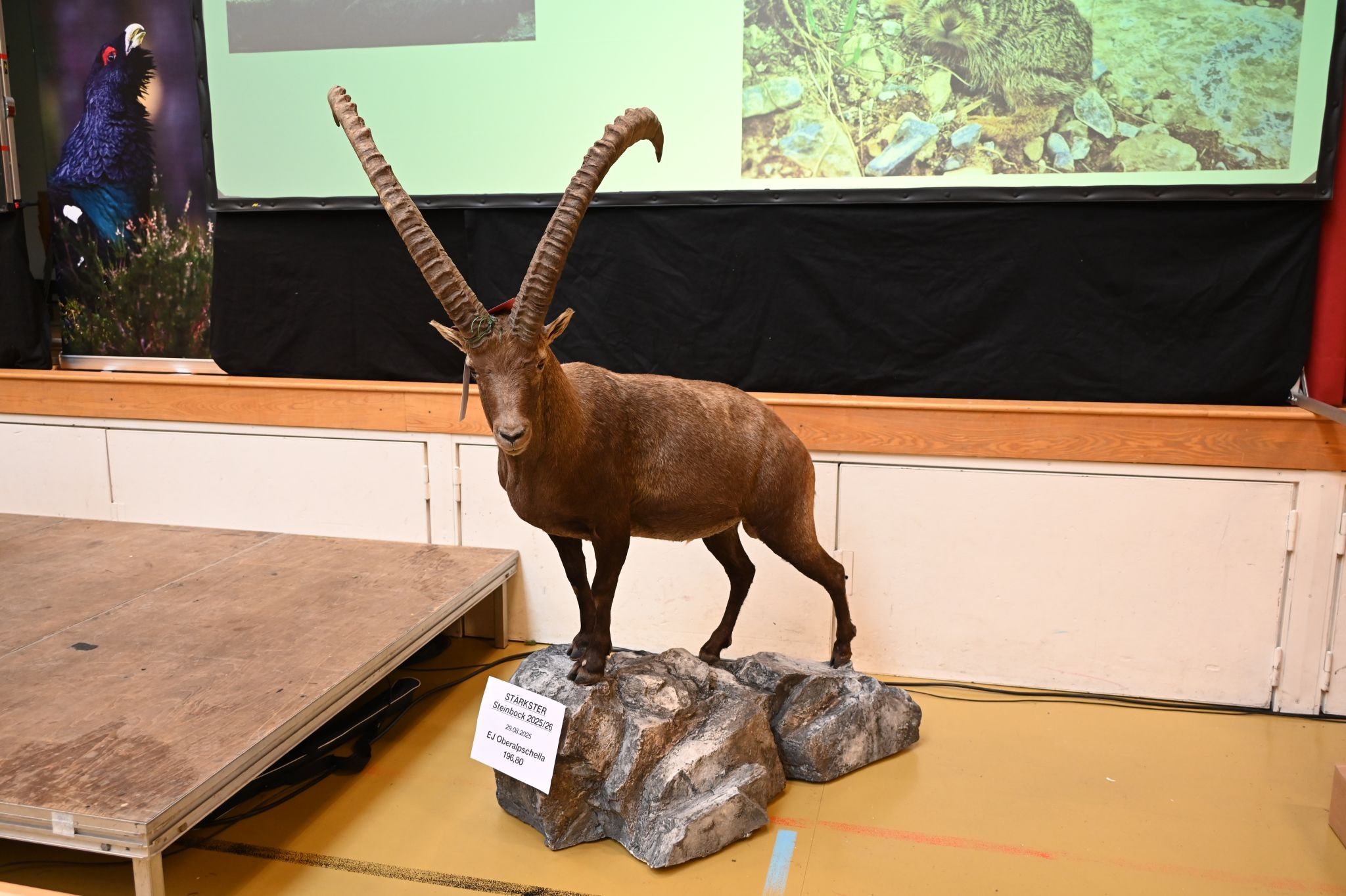 Oberländer Jägertage 2026 (Bildergalerie)