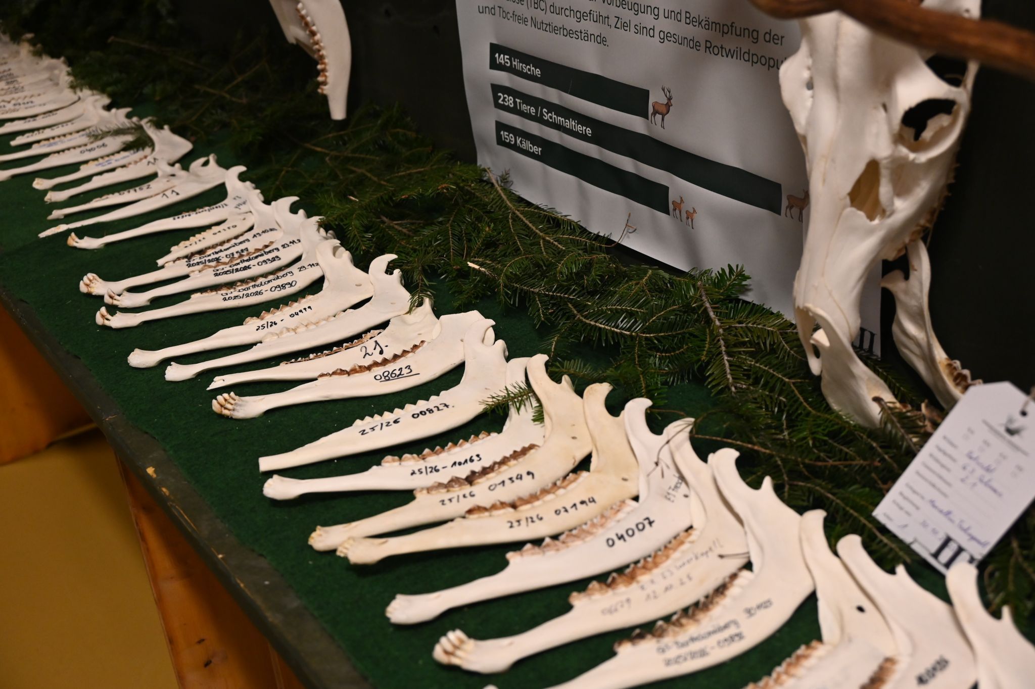 Oberländer Jägertage 2026 (Bildergalerie)