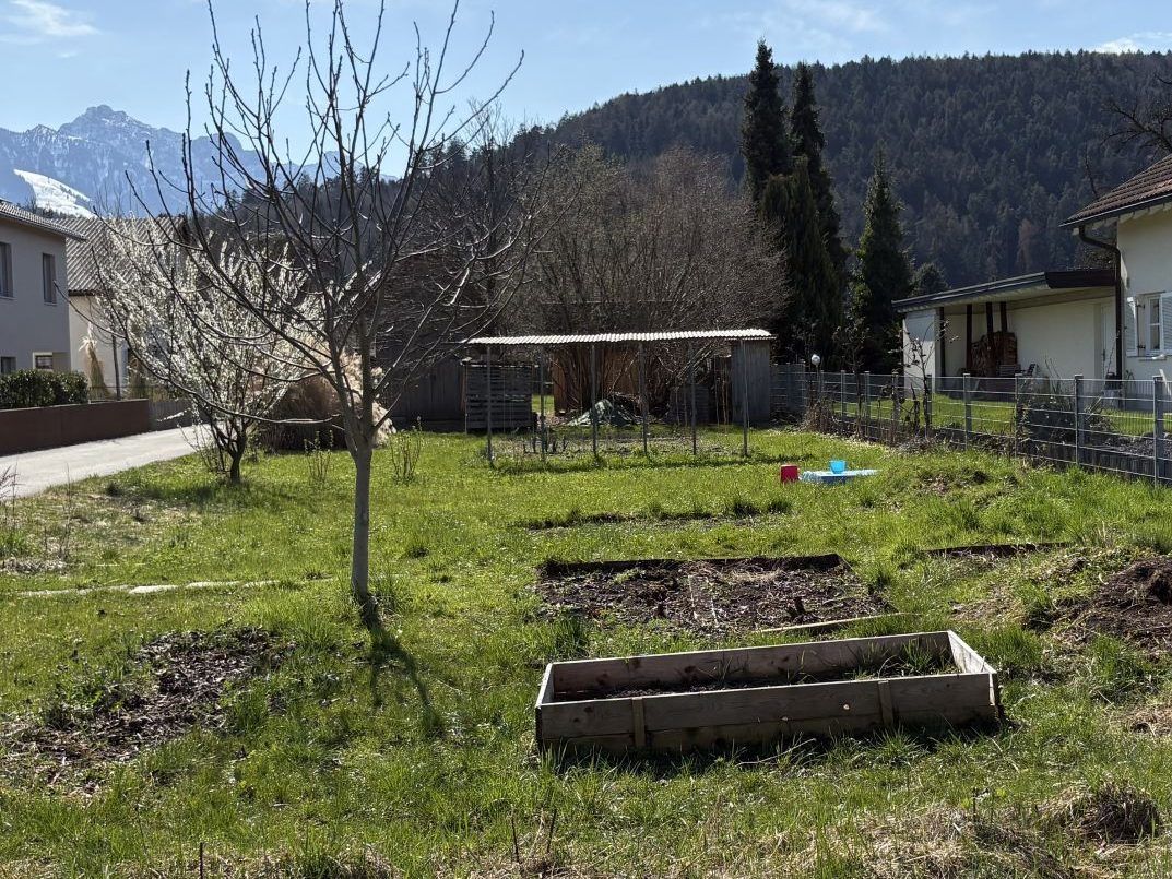 Schrebergärten in Feldkirch werden teurer: "Halte ich für Unverschämtheit"