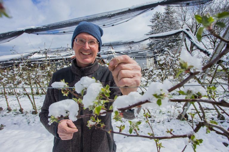 Warum der Wintereinbruch für die Vegetation eher gut ist