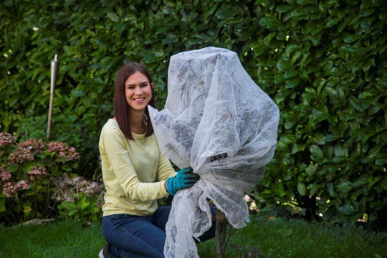 "Alles, was jetzt blüht, ist stark gefährdet" – Der Winter kehrt mit voller Wucht zurück