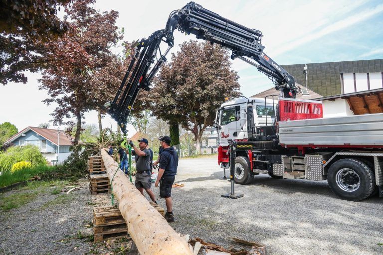 Eine Fichte, ein Dorf, ein Fest: Kraftakt für den Maibaum
