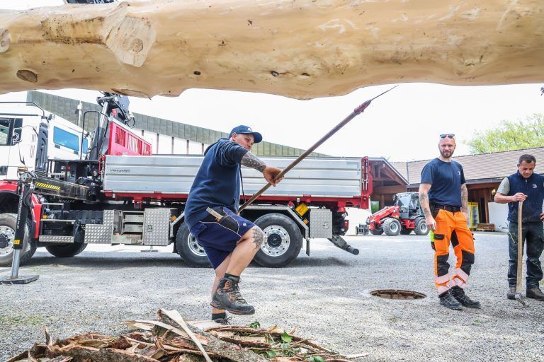 Eine Fichte, ein Dorf, ein Fest: Kraftakt für den Maibaum