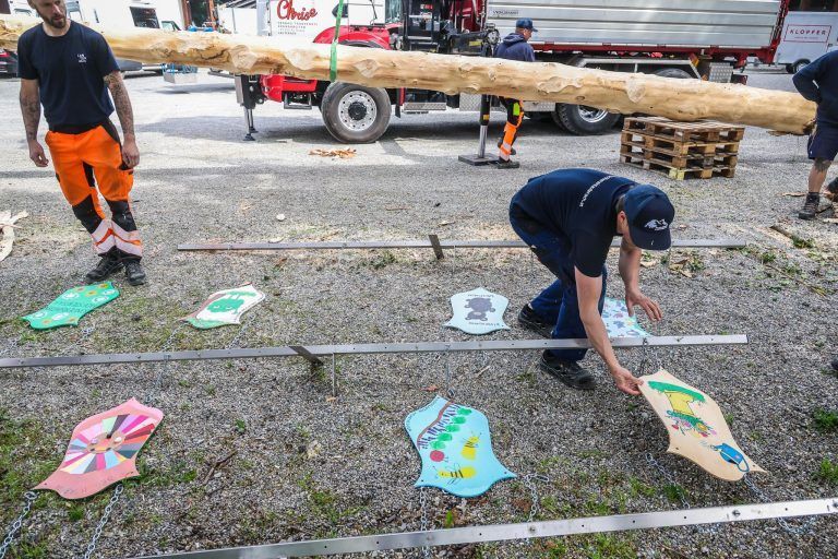 Eine Fichte, ein Dorf, ein Fest: Kraftakt für den Maibaum